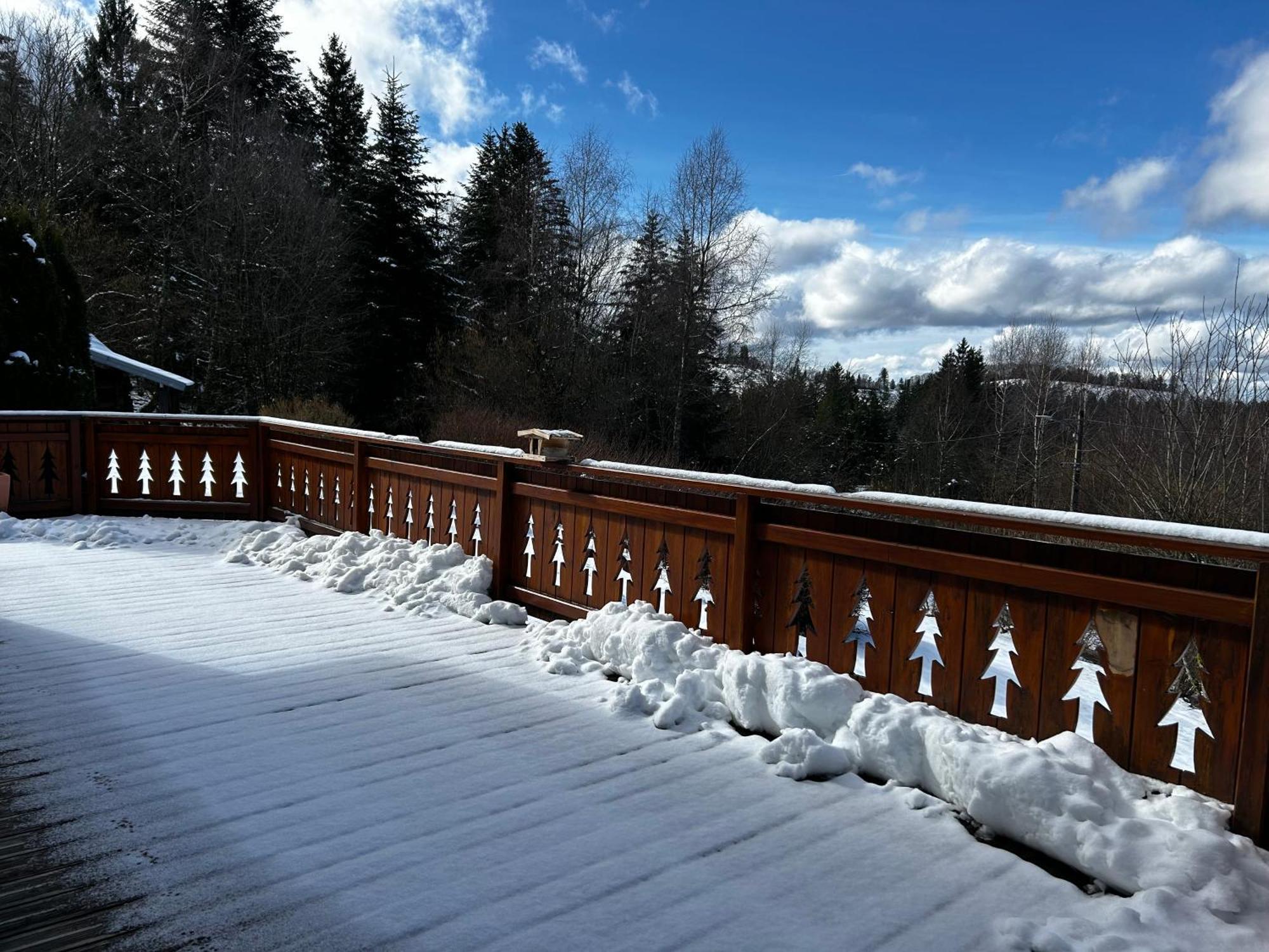 Chalet Avec Jacuzzi Prive, Vue Sur Les Vosges Belfahy 외부 사진